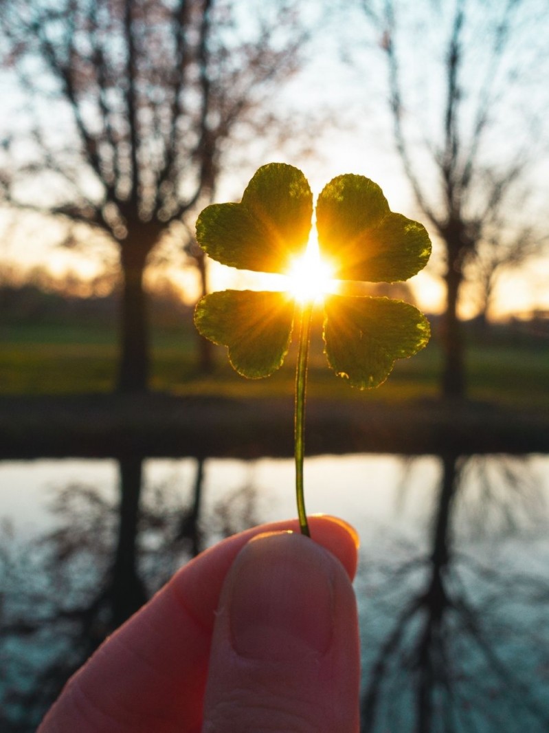 Reflexiones para despedir el año 2024 (y empezar 2025 con buen pie)