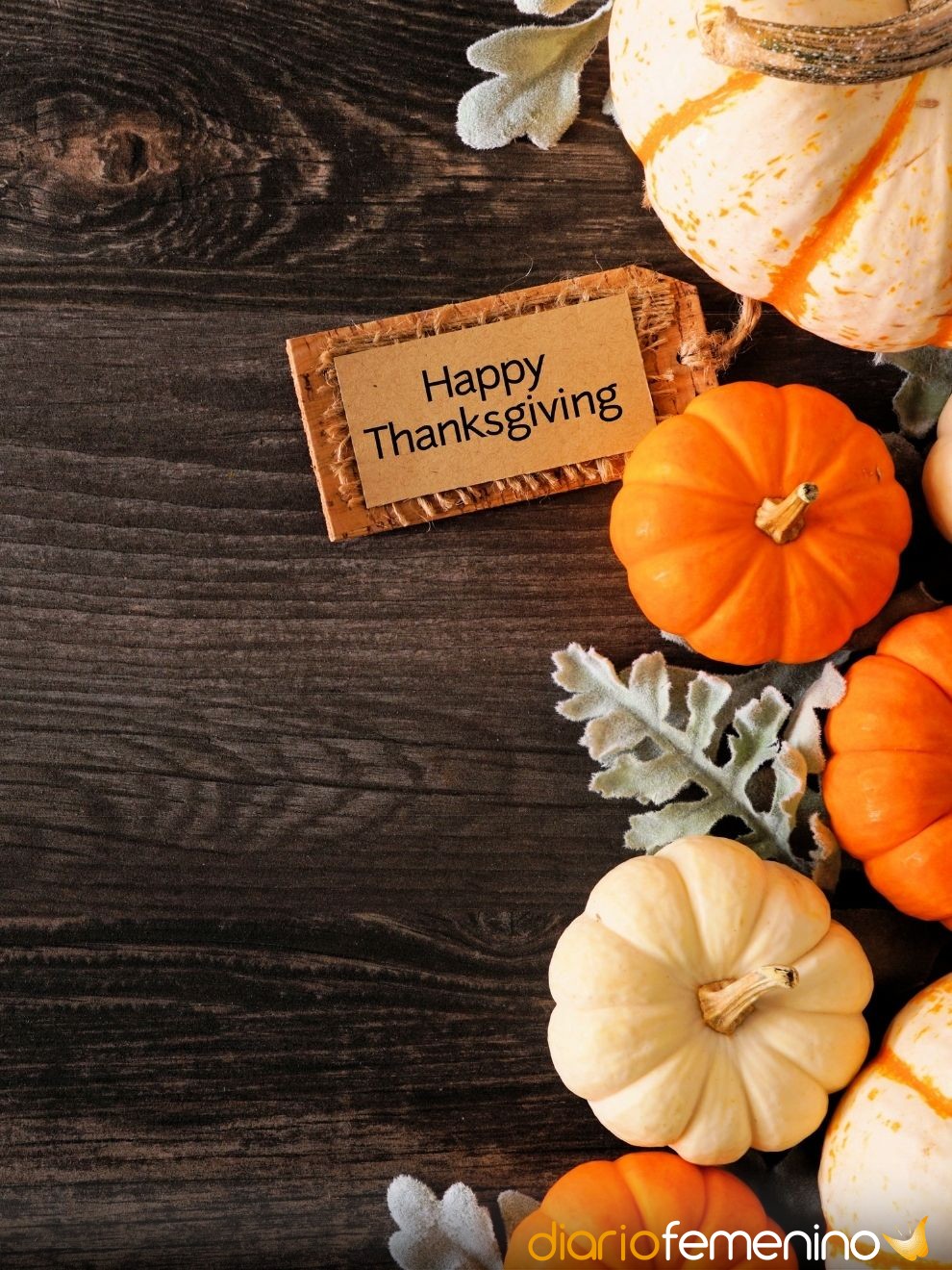 Feliz Día de Acción de Gracias: frases de gratitud para Thanksgiving