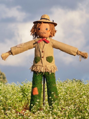 Soñar con espantapájaros: aleja tus pensamientos negativos