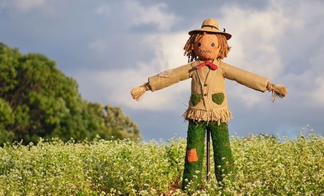 Soñar con espantapájaros: ¿qué significa?