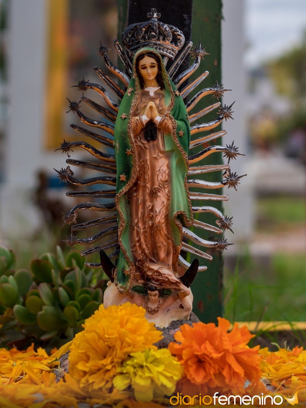 Frases para el Día de la Virgen de Guadalupe (para agradecer y pedir)