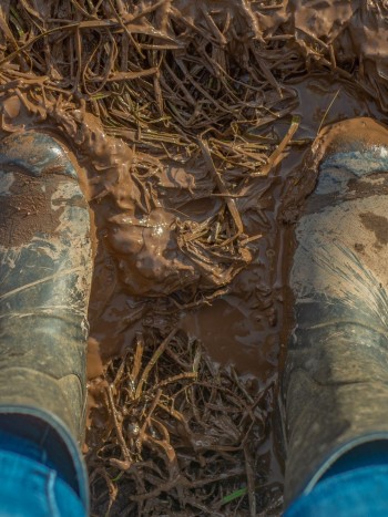 Soñar con lodo también tiene significados positivos (aunque no lo creas)