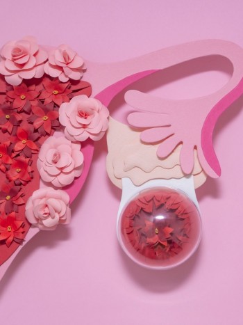 Quistes de ovario: cómo saber si son malignos (síntomas y tipos)