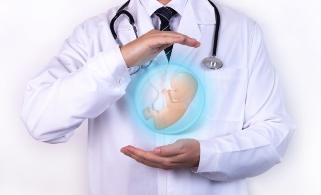 Las mejores técnicas de reproducción asistida hoy en día