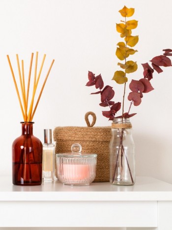 Aromaterapia para estudiar: aceites esenciales que ayudan a concentrarse