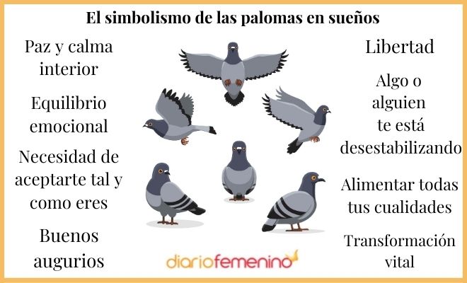 El simbolismo de las palomas en sueños