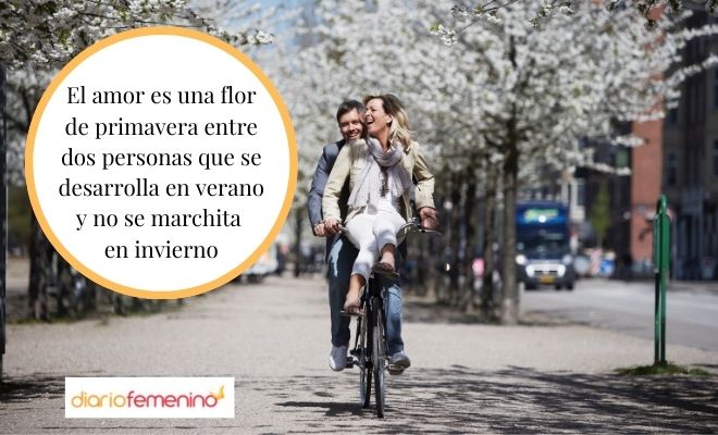 44 proverbios turcos antiguos para comprender el mundo actual