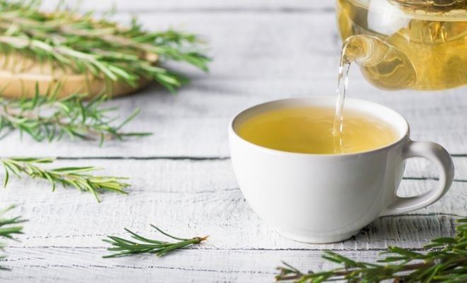 Relajante natural para los nervios: planta de San Juan