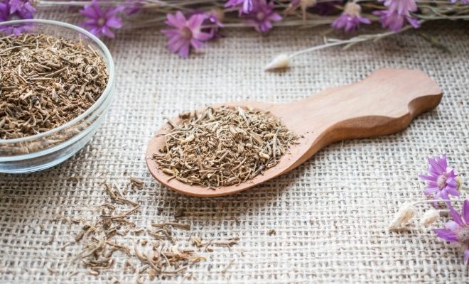 Relajante natural para los nervios: Valeriana