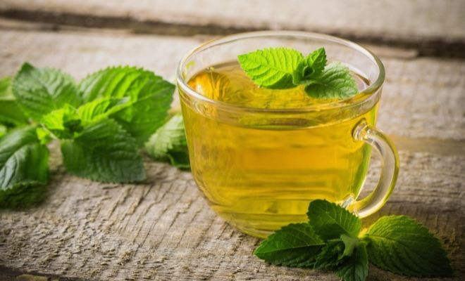 Relajante natural para los nervios: infusión de albahaca