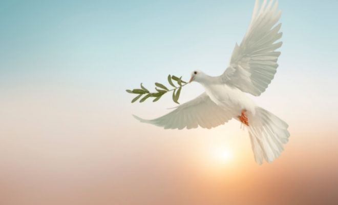 Martin Luther King: mensajes de paz