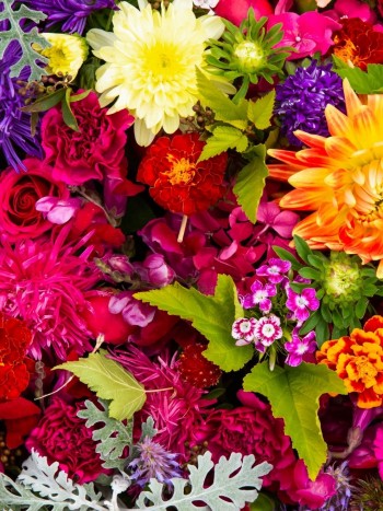 Significado de soñar con flores: la expresión de la alegría en tus sueños