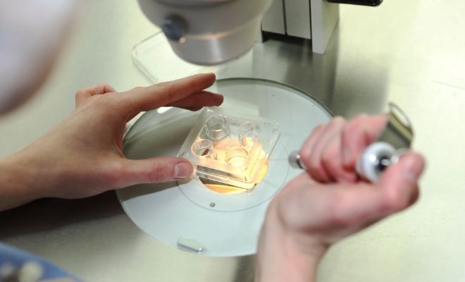 Preservación de la fertilidad: preguntas habituales resueltas por una ginecóloga