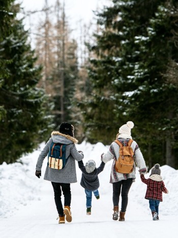 Soñar con la nieve: revisa tu estado de ánimo