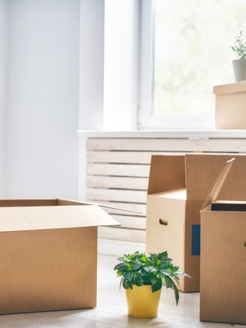 El significado de soñar con cajas: todo puede pasar