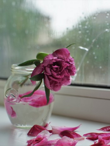Soñar con flores secas o marchitas: una llamada de atención
