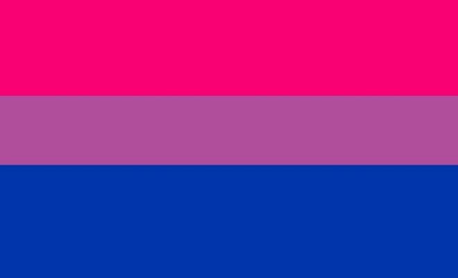 Así es la bandera bisexual
