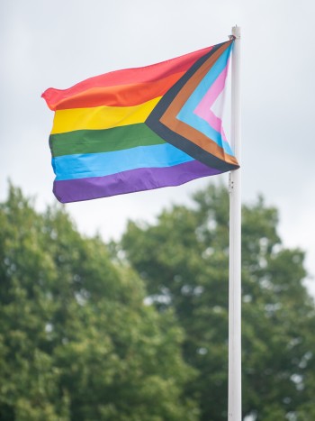 Guía útil para conocer las banderas LGBTIQ+: ¿cuál es su significado?