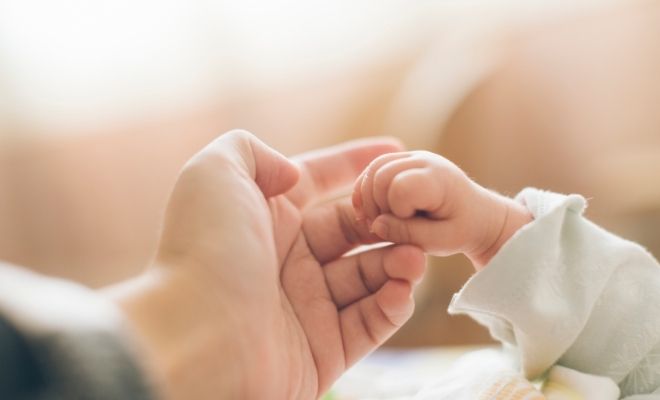 Tipos de apego infantil y cómo influyen psicológicamente en tu vida adulta