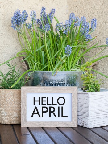 Soñar con el mes de abril: ábrete al mundo