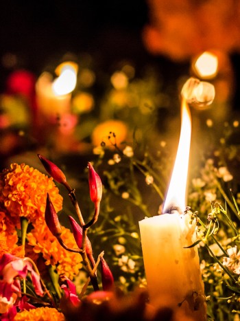 Frases para el Día de Todos los Santos: homenaje a los que ya no están