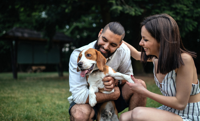 Horóscopo 2019: Aries en agosto