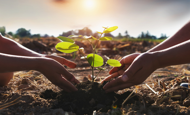 Regalos solidarios para Navidad