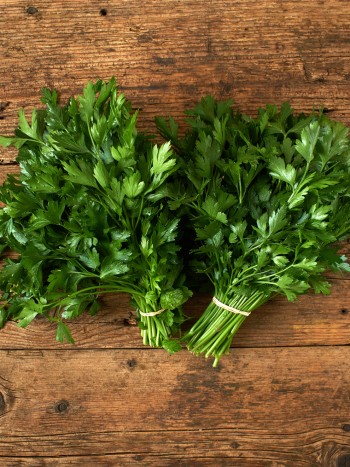 Cómo conservar el perejil: una guía básica para mantenerlo fresco