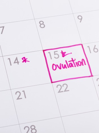 Cómo saber si has ovulado ya: signos que te sacarán de dudas