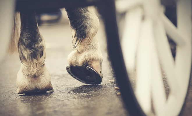 Significados negativos de El Carro en el tarot de Marsella