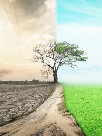 El agridulce significado de soñar con las estaciones del año