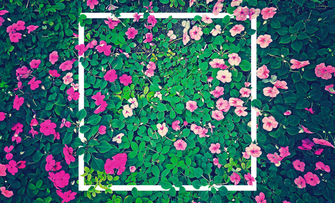 El significado de soñar con la primavera