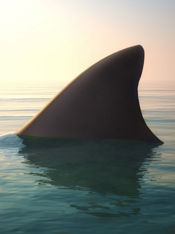 Soñar que te come un tiburón: cuidado con la baja autoestima
