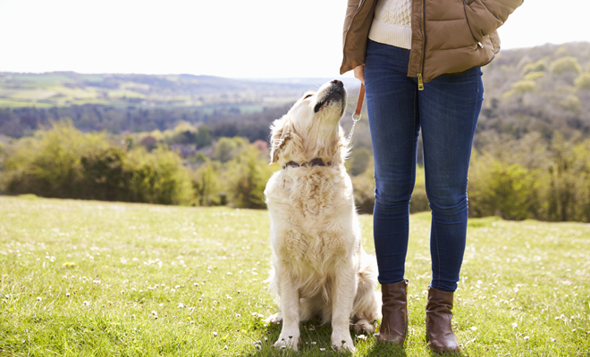 Cómo llamarías a tu mascota