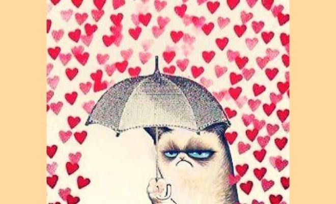 Divertido meme anti San Valentín