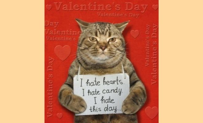 Meme odian San Valentín