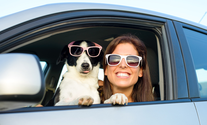 Cómo te irá en noviembre de 2019