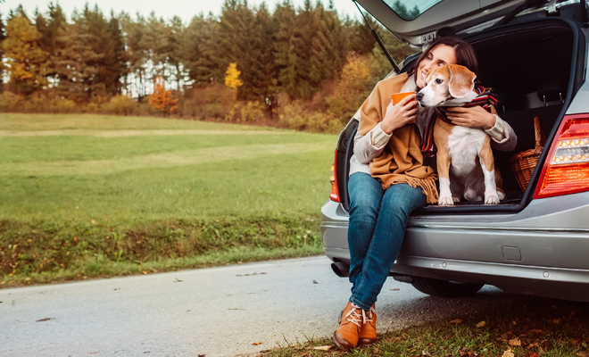 Las mejores maneras de llamar a tu mascota