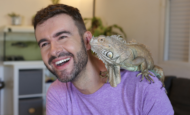 El significado de soñar con un lagarto en casa