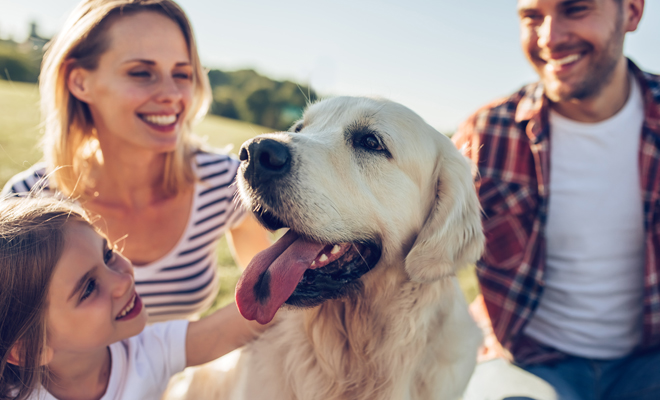 En caso de divorcio las mascotas irán siempre con los hijos