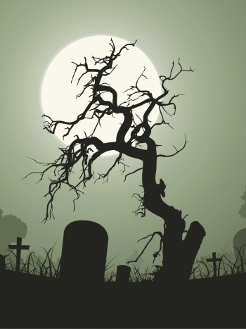 Tétrica leyenda mexicana: El árbol del vampiro y su verdadera historia
