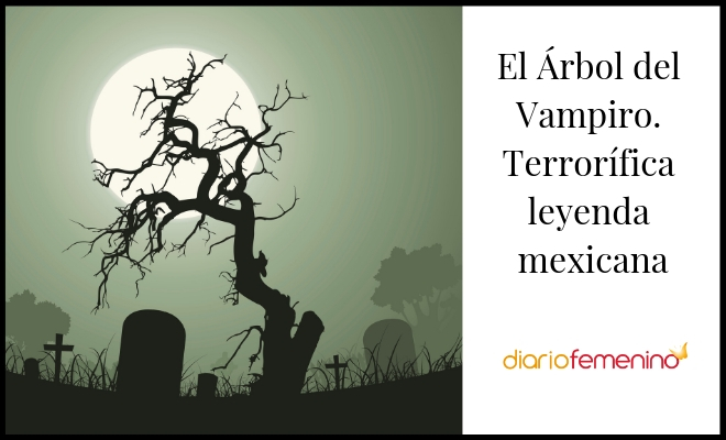 Tétrica leyenda mexicana: El árbol del vampiro y su verdadera historia