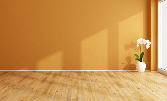 Síntomas y tratamiento de la crisofobia