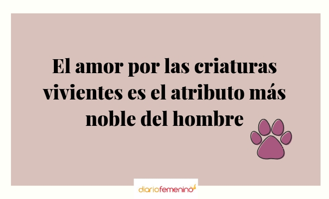 Frase sobre la nobleza del hombre por el amor a los animales