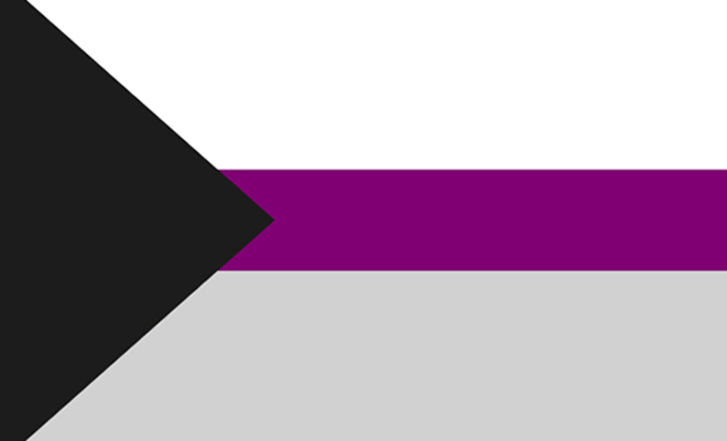 ¿Cómo es la bandera demisexual?