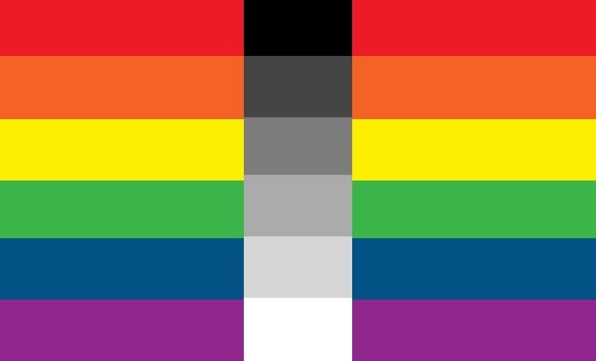 ¿Cómo es la bandera homoflexible?