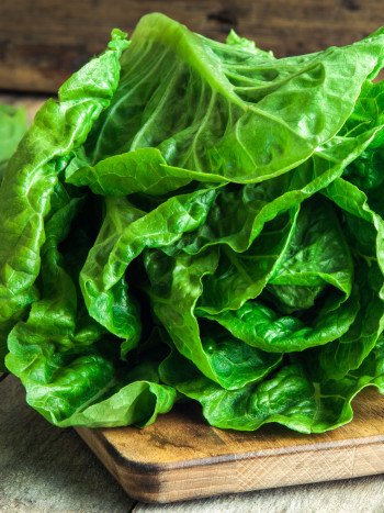 Cómo conservar la lechuga para que dure más tiempo: métodos infalibles