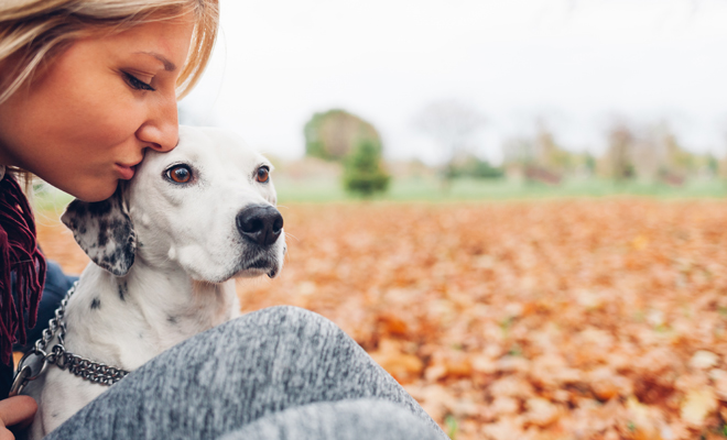 Tu cachorro se merece el mejor nombre