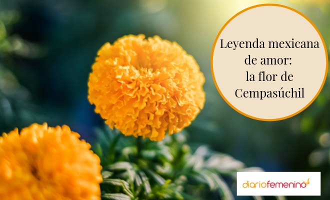 La flor de Cempasúchil: leyenda mexicana de un amor que nunca muere