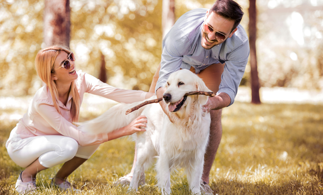 Ideas para llamar a tu linda mascota